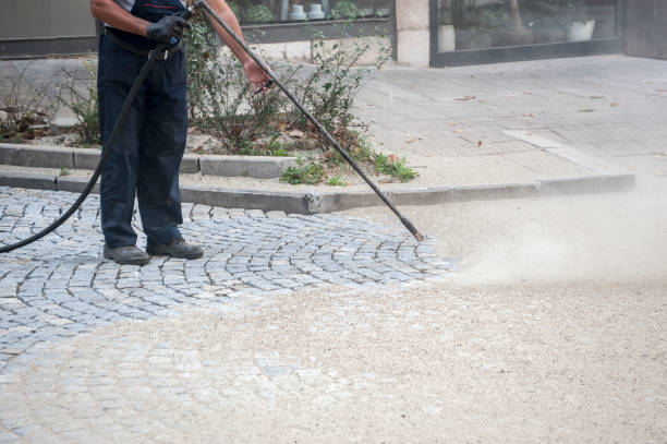 Best Driveway Pressure Washing  in Johnson City, NY