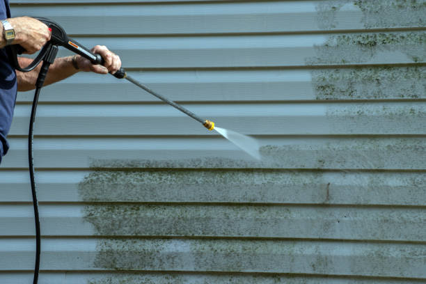 Best Solar Panel Cleaning  in Johnson City, NY