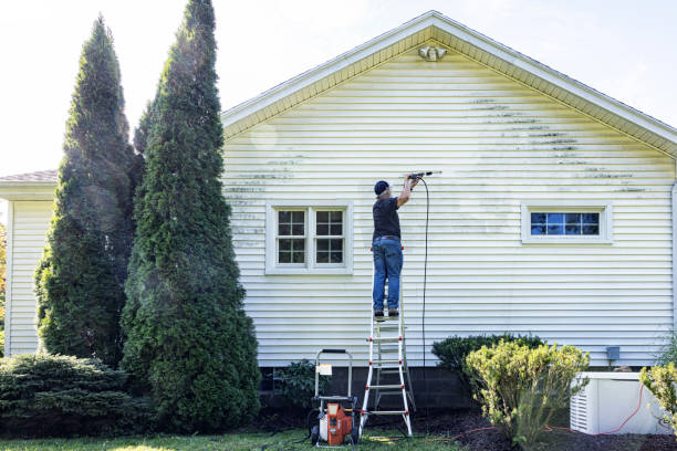 Best Parking Lot and Garage Cleaning  in Johnson City, NY