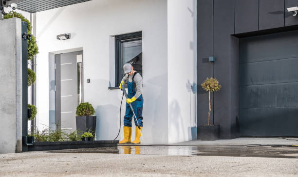 Best Dumpster Area Cleaning  in Johnson City, NY